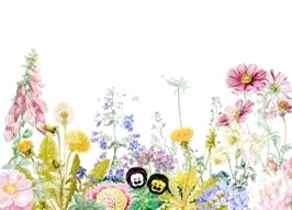Secret Garden Tour